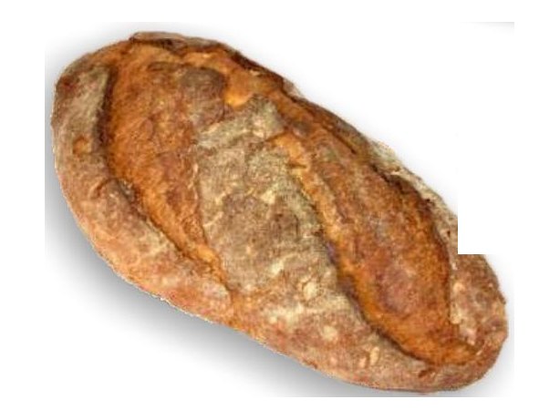 Pane tipico filone Novoforno